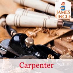 Carpenter Mr. Sujit Parui in Singur